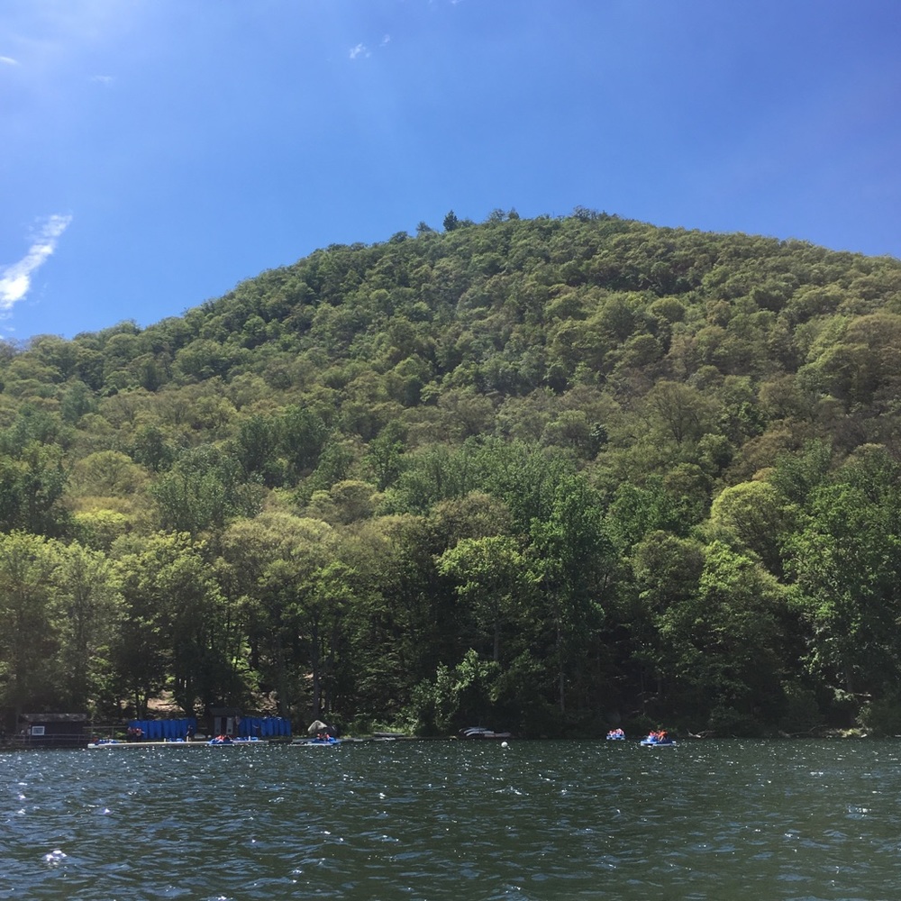 Meet your Posher, Naila